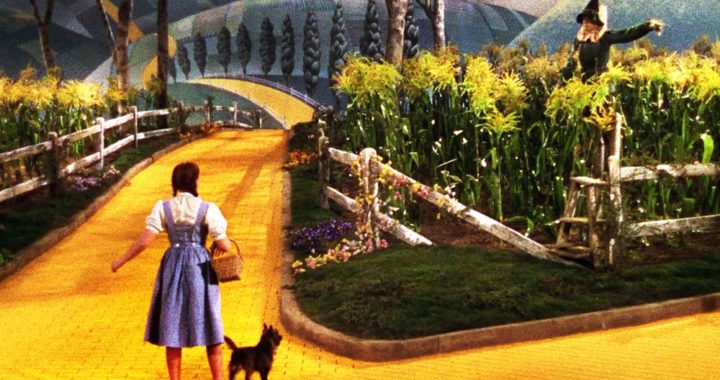 Dorothy Toto Yellow Brick Road